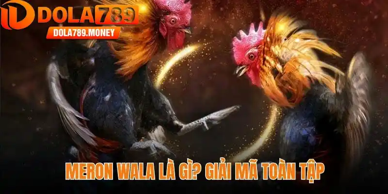 Meron wala là gì? Giải mã toàn tập cho người chơi mới